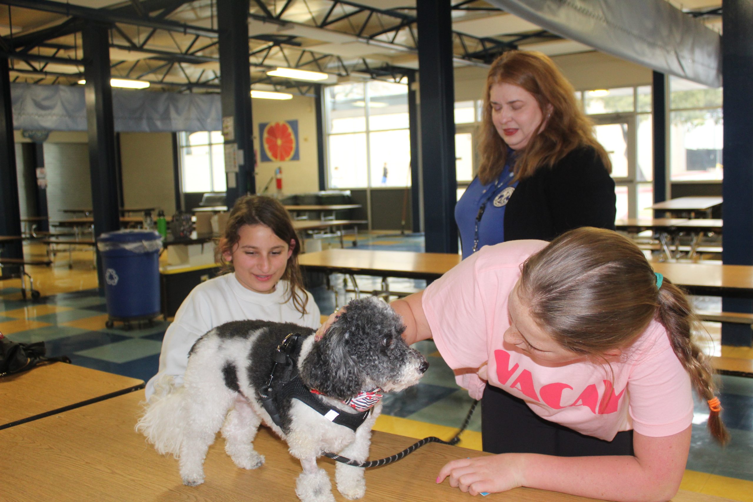 Therapy Animals of San Antonio: Comfort and Education