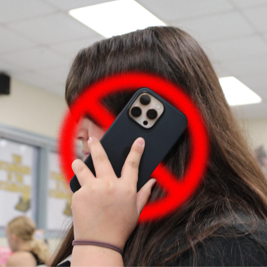 The New Phone Law: Striking Down or Striking Out?