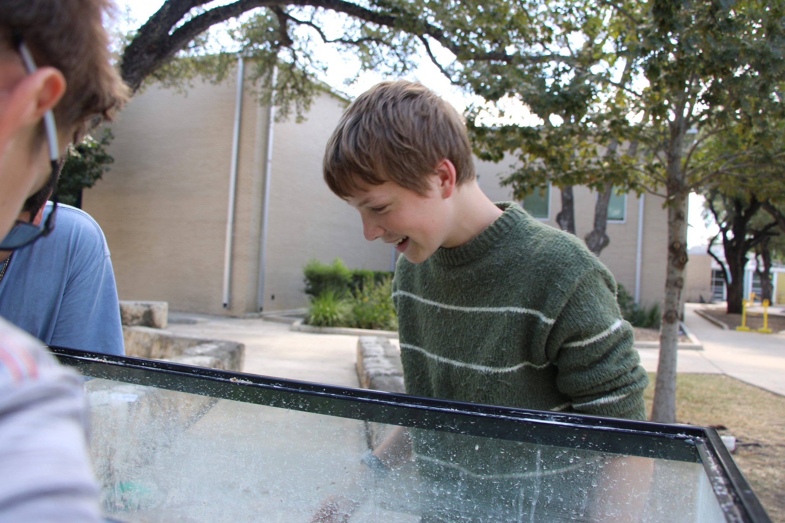 Hands-On Soil Projects At The Junior School