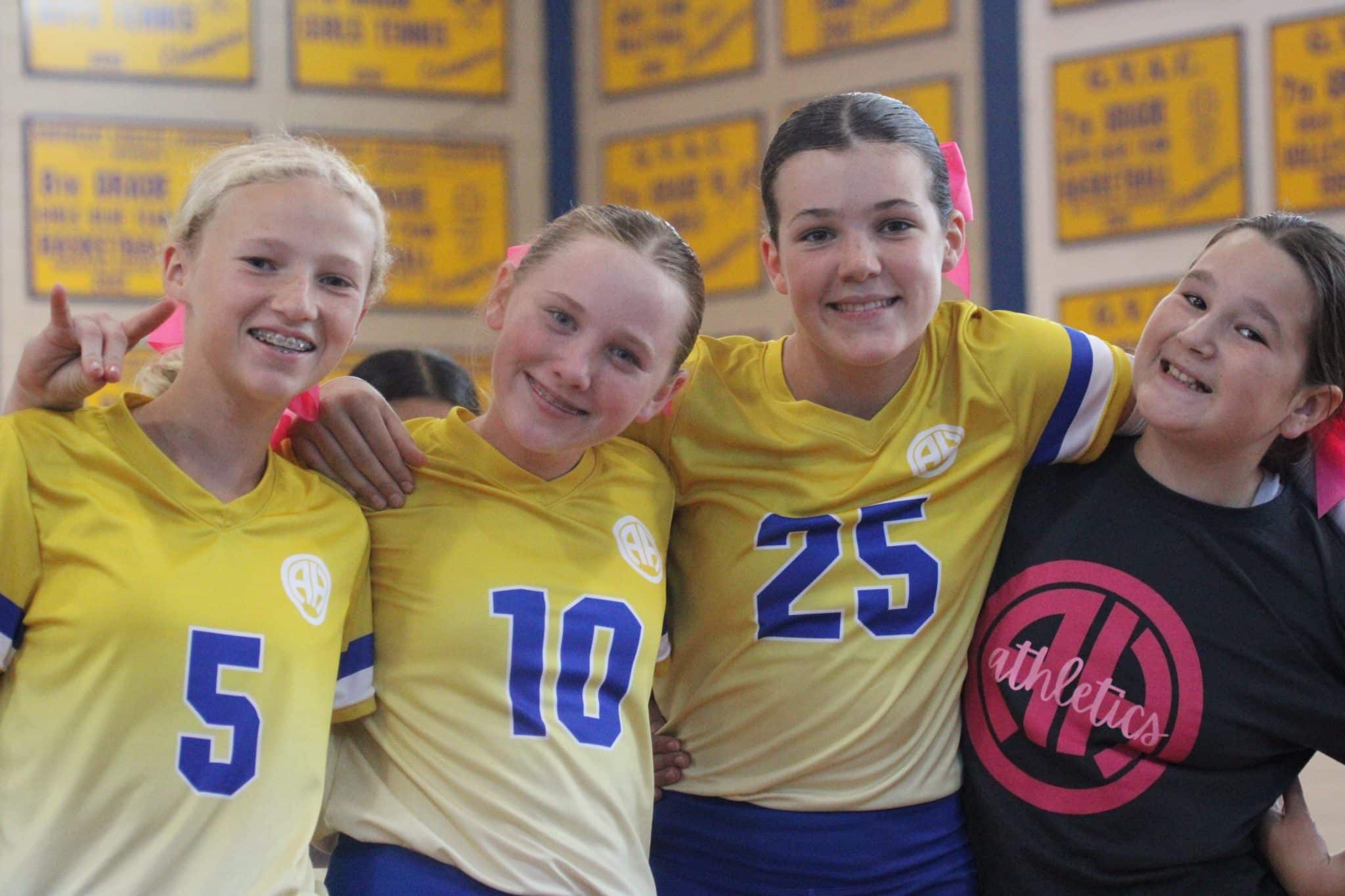 83% of AHJS Students Want More School Sports, Survey Finds
